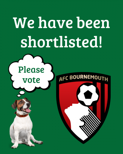 AFC Bournemouth Voting